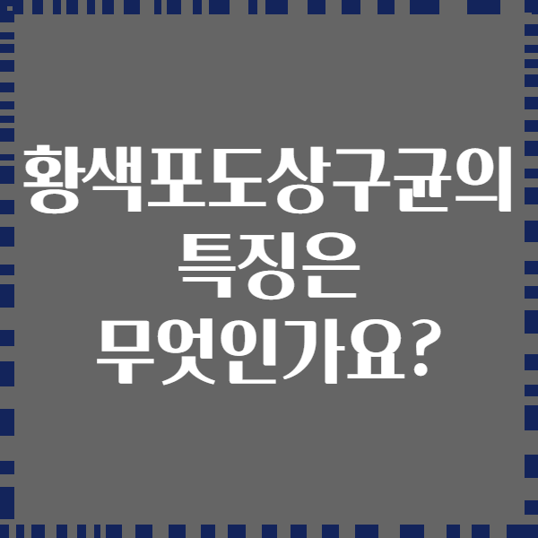 황색포도상구균의 특징은 무엇인가요?