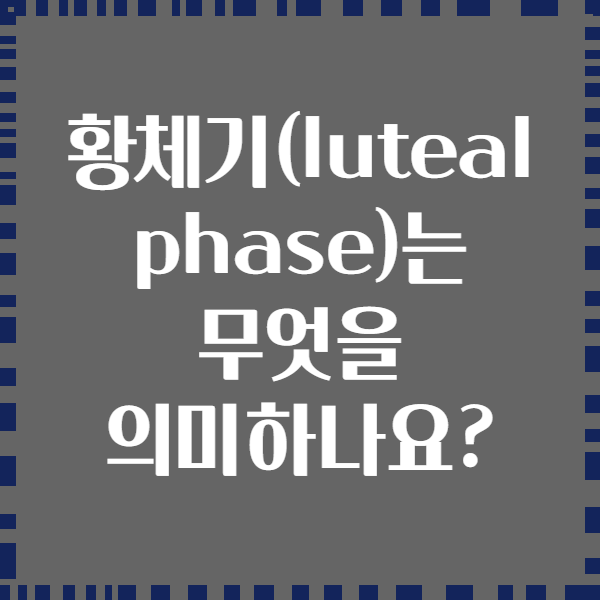 황체기(luteal phase)는 무엇을 의미하나요?