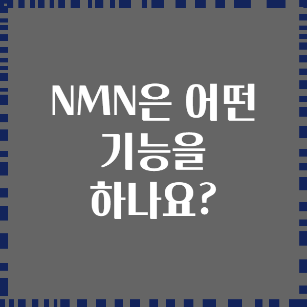 NMN은 어떤 기능을 하나요?