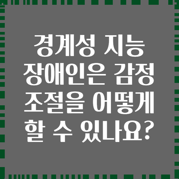 경계성 지능 장애인은 감정 조절을 어떻게 할 수 있나요?