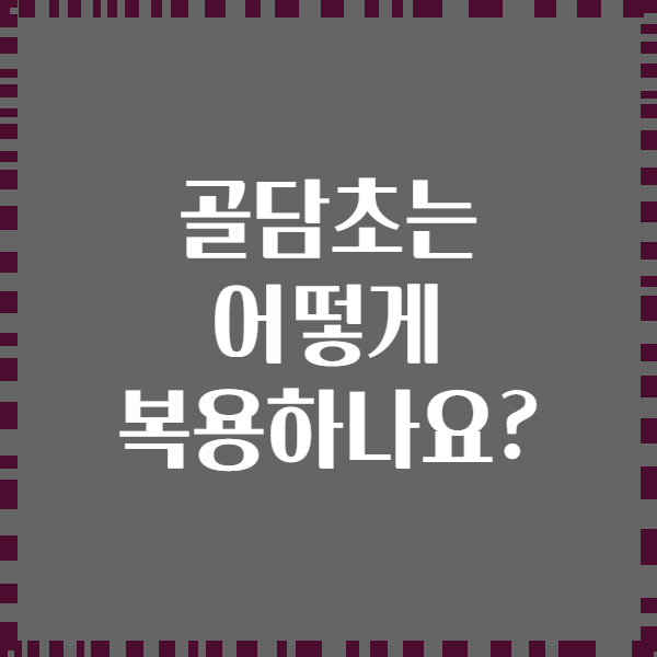 골담초는 어떻게 복용하나요?