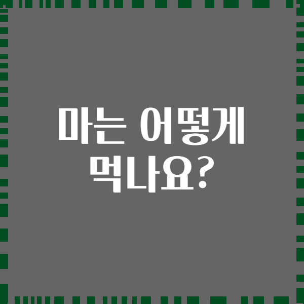 마는 어떻게 먹나요?