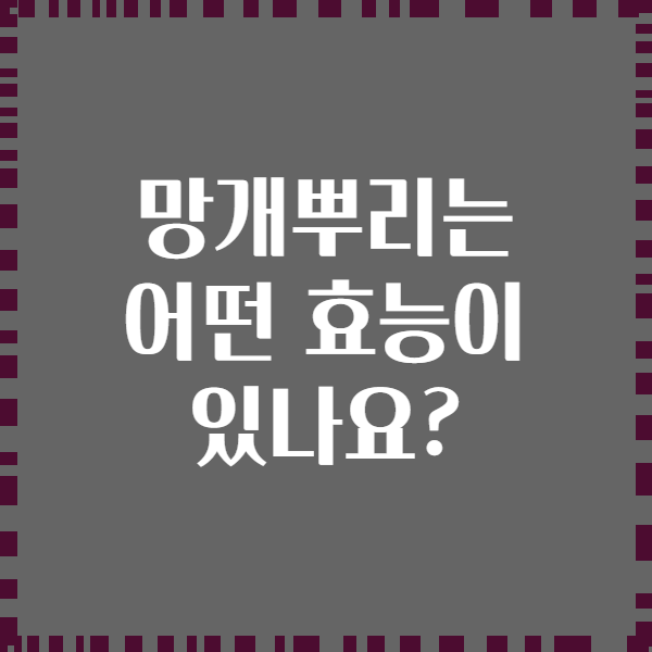 망개뿌리는 어떤 효능이 있나요?