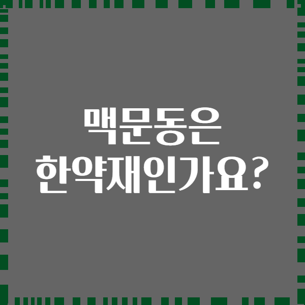 맥문동은 한약재인가요?