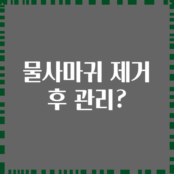 물사마귀 제거 후 관리?