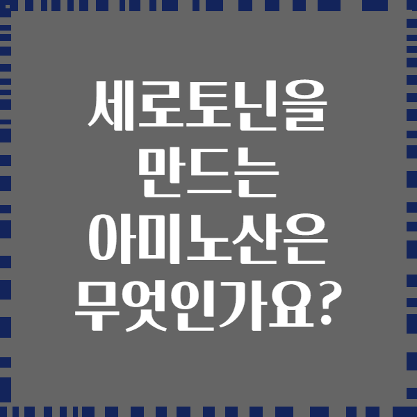 세로토닌을 만드는 아미노산은 무엇인가요?
