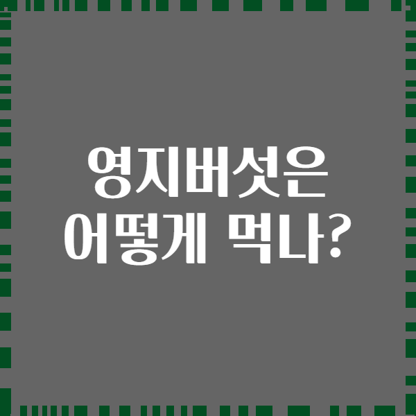 영지버섯은 어떻게 먹나?