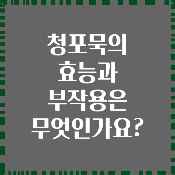 청포묵의 효능과 부작용은 무엇인가요?