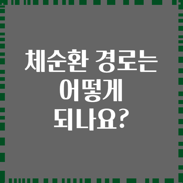 체순환 경로는 어떻게 되나요?