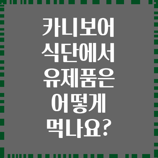 카니보어 식단에서 유제품은 어떻게 먹나요?