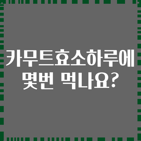 카무트효소하루에 몇번 먹나요?