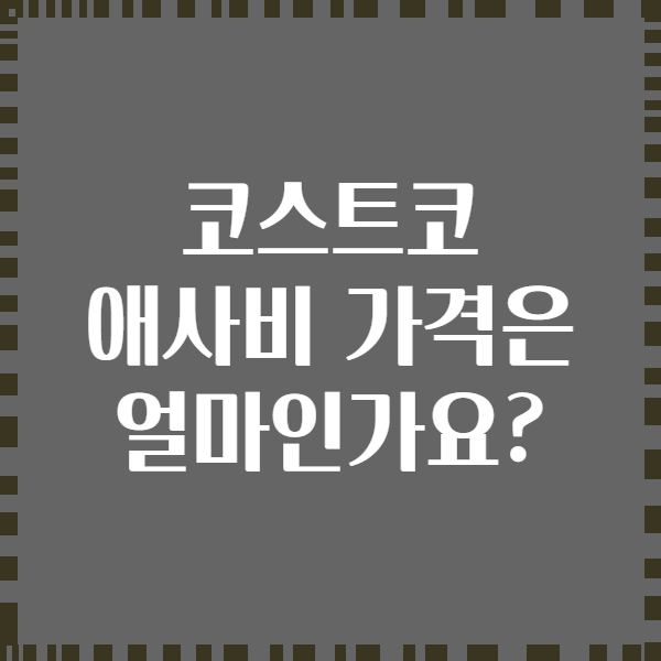 코스트코 애사비 가격은 얼마인가요?